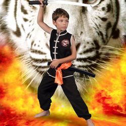 Shaolin Kempo Arts