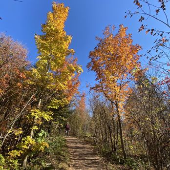 Oberg Mountain Trail - Hiking Near Me - Tofte, Minnesota