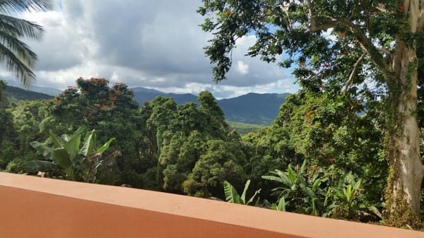Ceiba Country Inn Bed & Breakfast by null