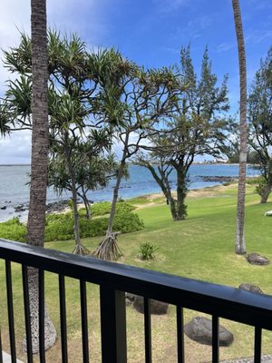 Maui Beach Hotel by null