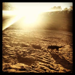 Comite River Park - Sunset at the beach