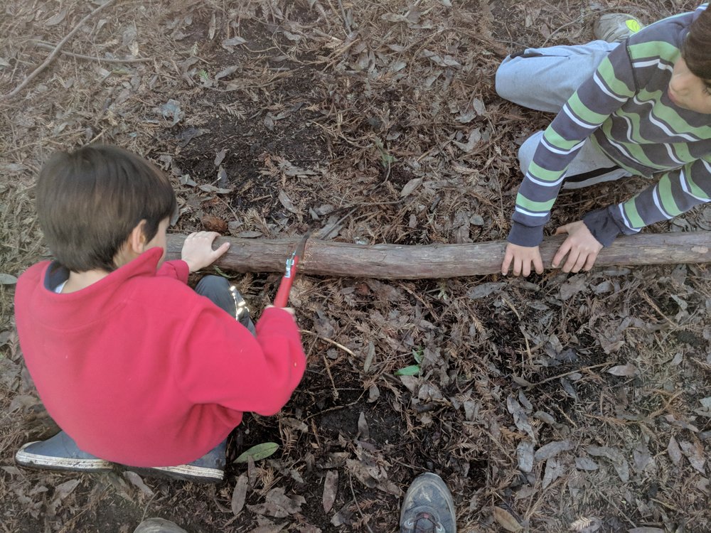 Outdoor Kids Occupational Therapy Logo