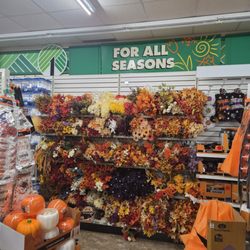 Dollar Tree