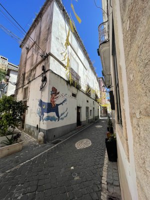 Cardamomo leiria by null