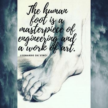 Foot Solutions Encinitas - The foot has 28 bones, including 14 phalanges, 7 tarsal bones (talus, calcaneus, cuboid, navicular, and 3 cuneiforms), 5 metatarsals, and 2 - Shoe Stores Near Me - Encinitas, California
