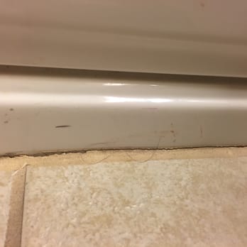 Great Wolf Lodge - That's not my hair and was here when we first entered the room. Along with someone else's cell phone stuck in the pull out love seat. - Resorts Near Me - Centralia, Washington