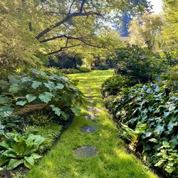 PowellsWood Garden