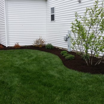 Westbrook & Son's Lawn Care - a small tree in the front yard - Landscaping Near Me Westbrook & Son's Lawn Care - a small tree in the front yard - Landscaping Near Me