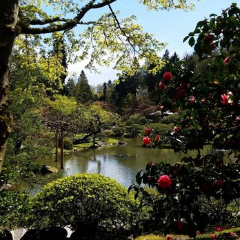 Washington Park Arboretum - Japanese Garden - Parks Near Me - Seattle, Washington Washington Park Arboretum - Japanese Garden - Parks Near Me - Seattle, Washington