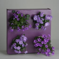 Flowerbox Gallery - Flowerbox