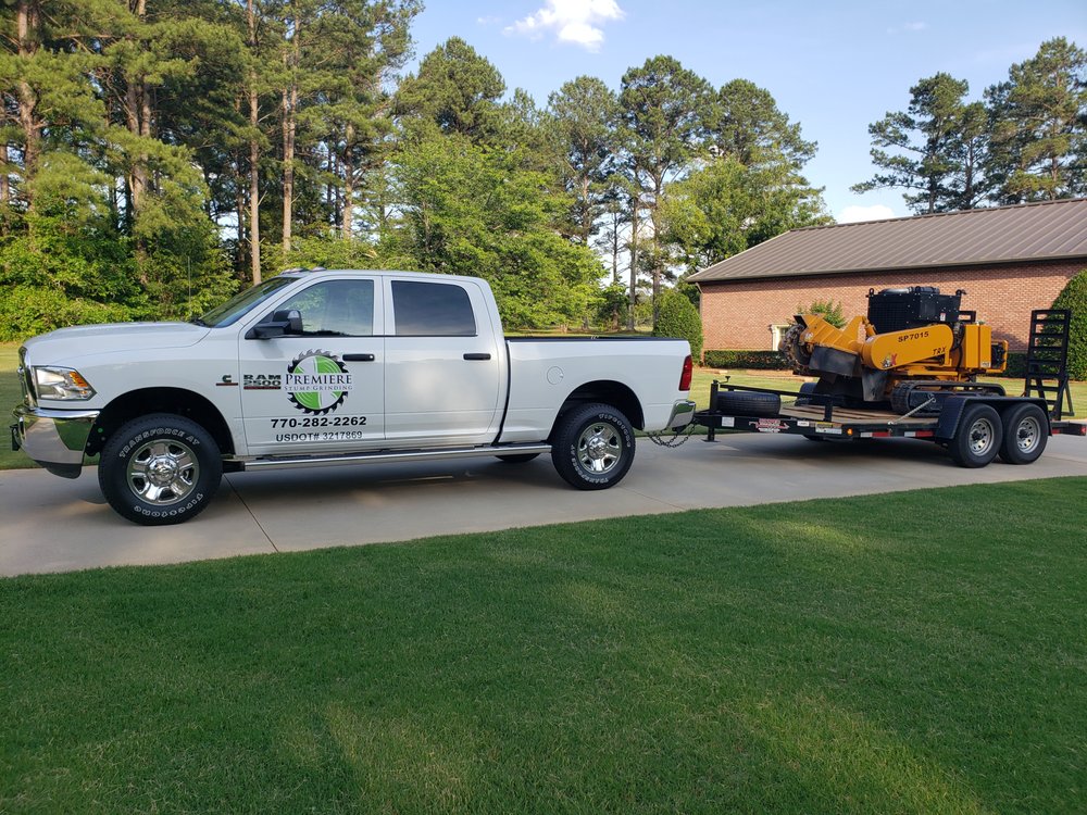 PREMIERE STUMP GRINDING 1010 Premiere Way, McDonough, Tree
