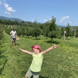 F. T. Valley Farm