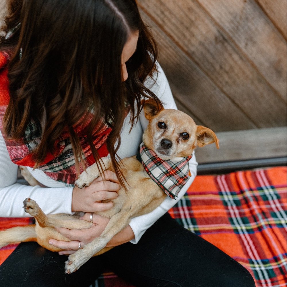 BMAC Pet Photography - Pet Photography Near Me BMAC Pet Photography - Pet Photography Near Me