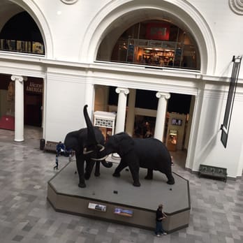 Footprints Around Chicago - Field Museum - Walking Tours Near Me
