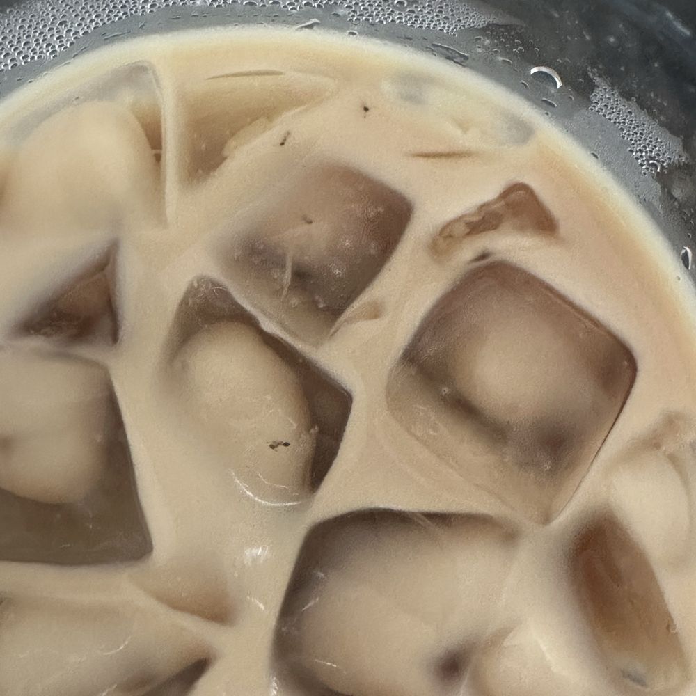 Yes Cafe - Ants in the coffee and I can't get ahold of anyone to speak to a real person. - Breakfast & Brunch Near Me - Miami, Florida Yes Cafe - Ants in the coffee and I can't get ahold of anyone to speak to a real person. - Breakfast & Brunch Near Me - Miami, Florida