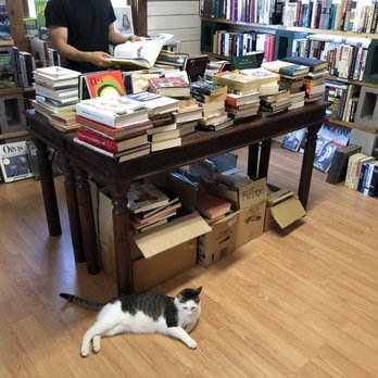 Hooked On Books II - Sammy, the adorable bookkeeping kitty! - Bookstores Near Me - Taos, New Mexico