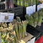 Photo of Zuckerman Family Farm Produce