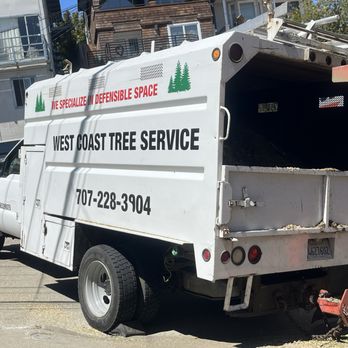 West Coast Tree Services - Tree Services Near Me - Monte Rio, California West Coast Tree Services - Tree Services Near Me - Monte Rio, California