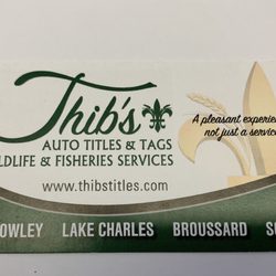 Thib's Auto Titles & Tags