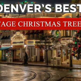 Neighborhood Christmas Tree - Christmas Trees Near Me - Aurora, Colorado Neighborhood Christmas Tree - Christmas Trees Near Me - Aurora, Colorado