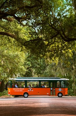 Old Town Trolley Tours of Savannah by null