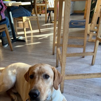 Manresa Bread  - Dog friendly!! - Breakfast & Brunch Near Me - Campbell, California
