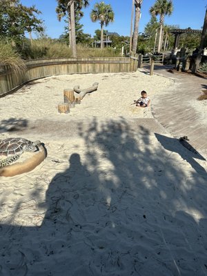 Lowcountry Celebration Park by null