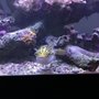 Photo of Aqua Pets and Birds