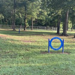 Childforms Dog Park - Park toy
