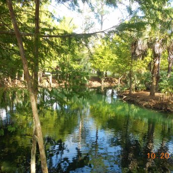 Southern Palm Bed And Breakfast - The pond surrounding the tiki hut island - Bed & Breakfast Near Me - Loxahatchee, Florida