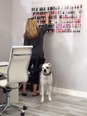 DAISY NAILS SPA - Updated February 2026 - 13 Reviews - 22550 Dewdney