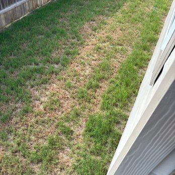 Emerald Lawns - Tree Services Near Me - Round Rock, Texas