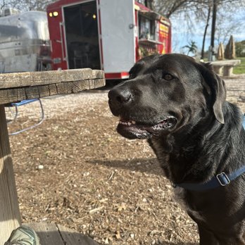 Pacific Flame Island Grill - Dog friendly outdoor seating - Hawaiian Near Me - Austin TX, Texas