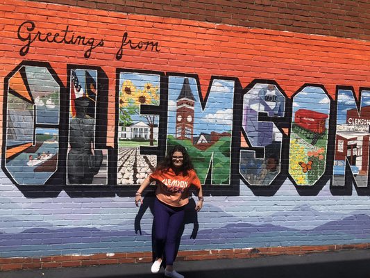 Clemson University by null