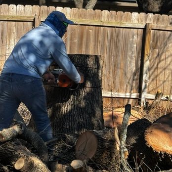 Morales Tree Services - Tree Services Near Me