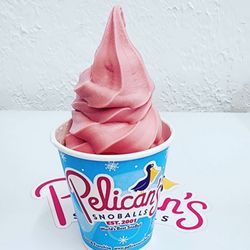 Pelican's SnoBalls of Bradenton