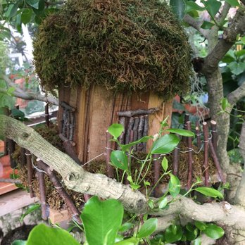 Greater Des Moines Botanical Garden - Tree house (?) - Botanical Gardens Near Me - Des Moines, Iowa Greater Des Moines Botanical Garden - Tree house (?) - Botanical Gardens Near Me - Des Moines, Iowa