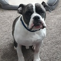Bubba