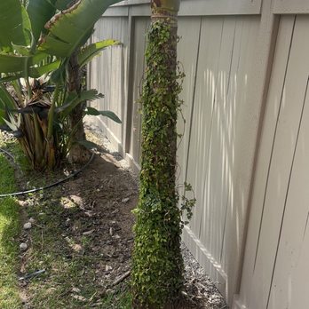 Summit Handyman Services - Handyman Near Me - Chula Vista, California