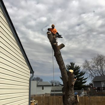 Martin Tree Service - hazardous tree removal is our specialty - Tree Services Near Me - Sheridan, Indiana Martin Tree Service - hazardous tree removal is our specialty - Tree Services Near Me - Sheridan, Indiana
