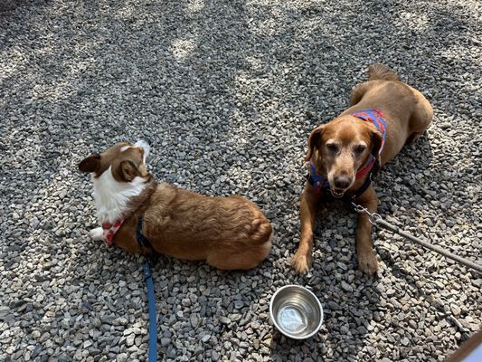 Terlingua by null Terlingua by null