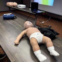 CPR Education - Infant and Adult CPR