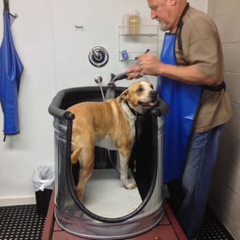 Barkers Pet Supply - Happy dog in the Pet Wash! - Pet Stores Near Me - Guerneville, California Barkers Pet Supply - Happy dog in the Pet Wash! - Pet Stores Near Me - Guerneville, California