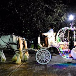 Krewe of Artemis