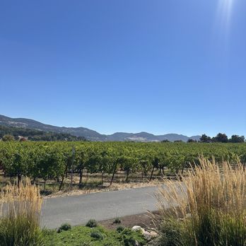 Shadybrook Estate Winery - Wineries Near Me - Napa, California
