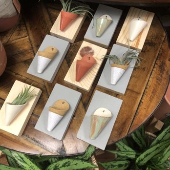 Botanic and Luxe - Gift Shops Near Me - Santa Cruz, California Botanic and Luxe - Gift Shops Near Me - Santa Cruz, California