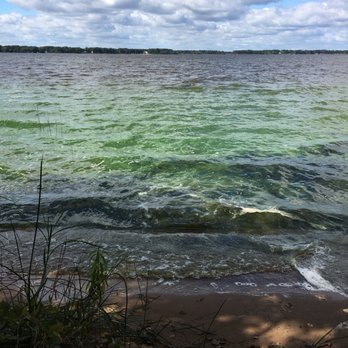 Buckhorn State Park - Morning blue-green algae :( - Parks Near Me - Necedah, Wisconsin Buckhorn State Park - Morning blue-green algae :( - Parks Near Me - Necedah, Wisconsin