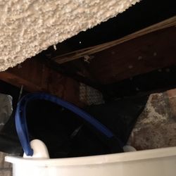 Puget Sound Pro Services