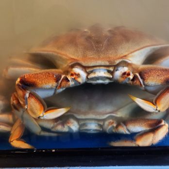 Taylor Shellfish Farms - Seafood Near Me - Seattle, Washington Taylor Shellfish Farms - Seafood Near Me - Seattle, Washington