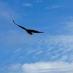 Eagle One Enterprises